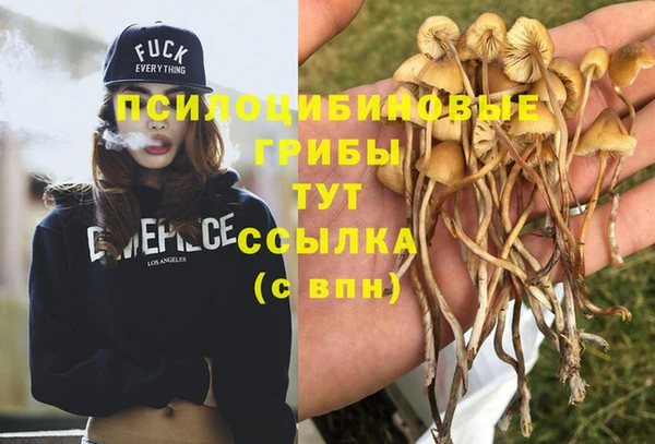эйфоретик Абинск