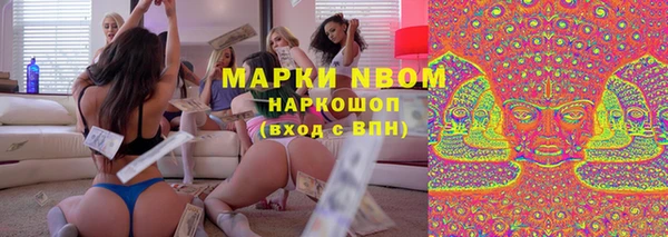 хмурый Абаза