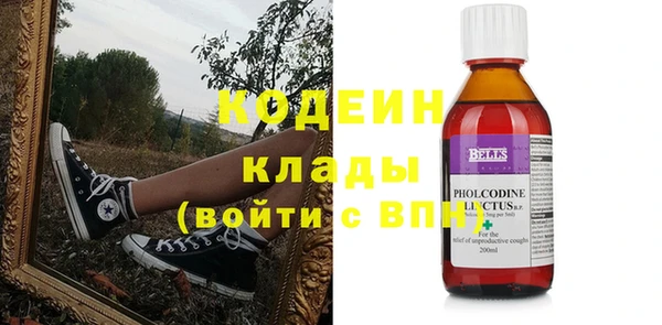 хмурый Абаза