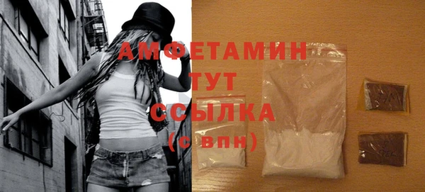 хмурый Абаза