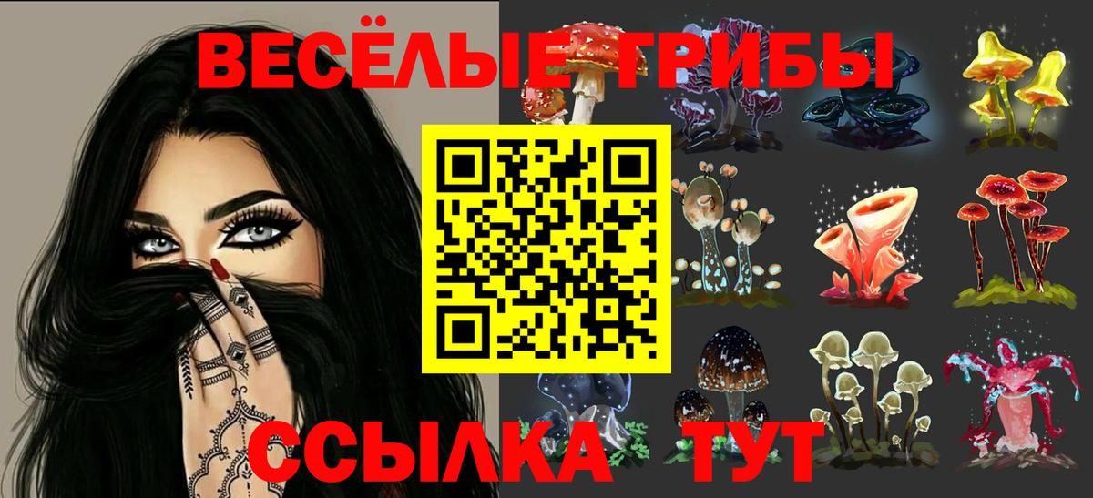 Псилоцибиновые грибы прущие грибы Миллерово